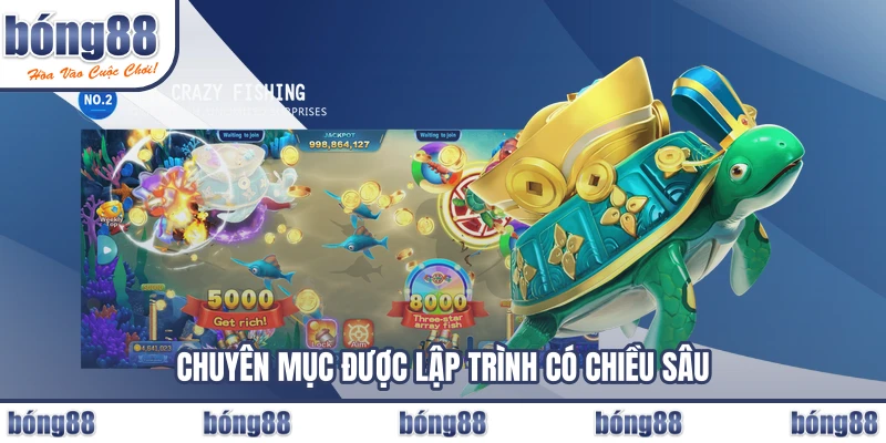 Chuyên mục được lập trình có chiều sâu