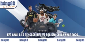 Kèo Châu Á Là Gì? Cách Hiểu Và Đọc Kèo Chuẩn Nhất 2026