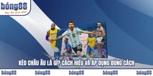 Kèo Châu Âu Là Gì? Cách Hiểu Và Áp Dụng Đúng Cách