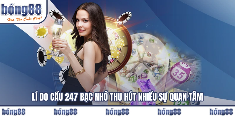 Lí do cầu 247 bạc nhớ thu hút nhiều sự quan tâm